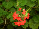 DSCN9633