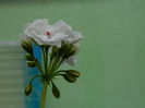 DSCN9638