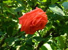DSCN9647