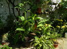 DSCN9657