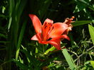 DSCN9668