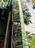 20150409_165218