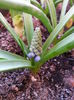20150416_192257