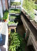 20150420_170735