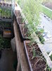 20150424_200031
