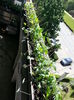 20150510_115237