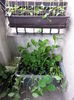 20150517_111331
