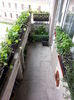 20150517_124452