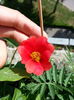 20150520_152357