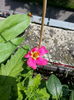 20150520_152403