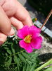 20150520_152410