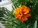 20150521_171437