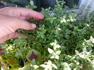 20150530_191047