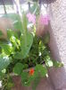 20150531_185355
