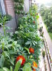 20150604_100343