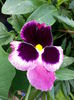 20150604_100619