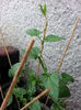 20150604_100713