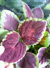 20150604_100739