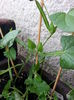 20150605_092709