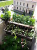 20150605_163035