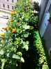 20150608_140855