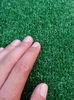 20150608_195255