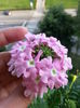 20150608_195449