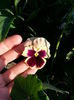 20150608_195535(0)