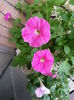 20150608_195615