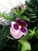 20150610_162110