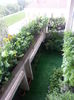 20150610_184941