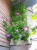 20150612_162327