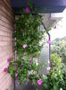 20150615_085849