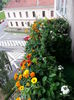 20150615_085900