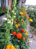 20150615_085921