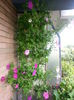 20150615_174331