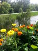 20150615_174420