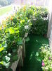 20150615_174521