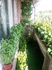 20150615_174535