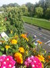 20150615_174954