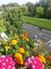 20150615_174956