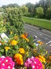 20150615_174957
