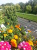 20150615_174958