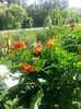 20150615_175235