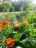 20150615_175238