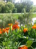 20150615_175242