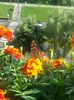 20150615_175255