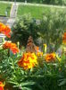 20150615_175256