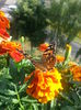 20150615_175309