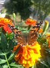20150615_175312